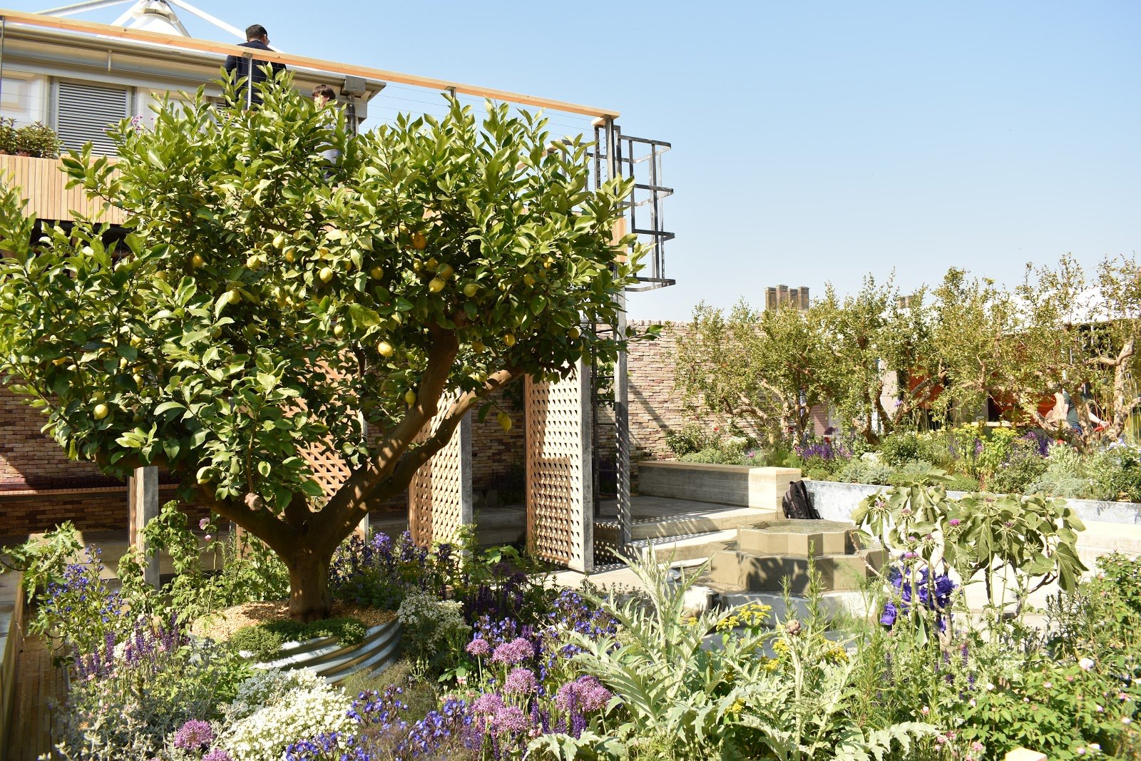 more from rhs chelsea 2018