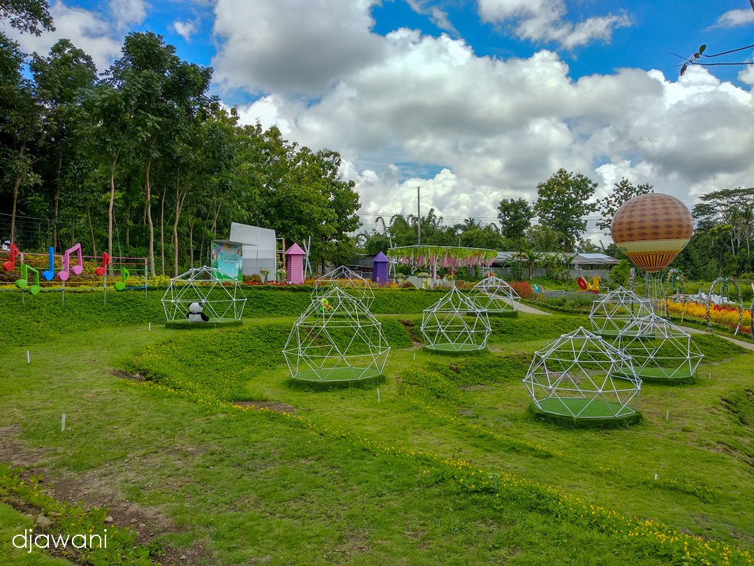 alamanda jogja flower garden, warna warni taman bunga kekinian di