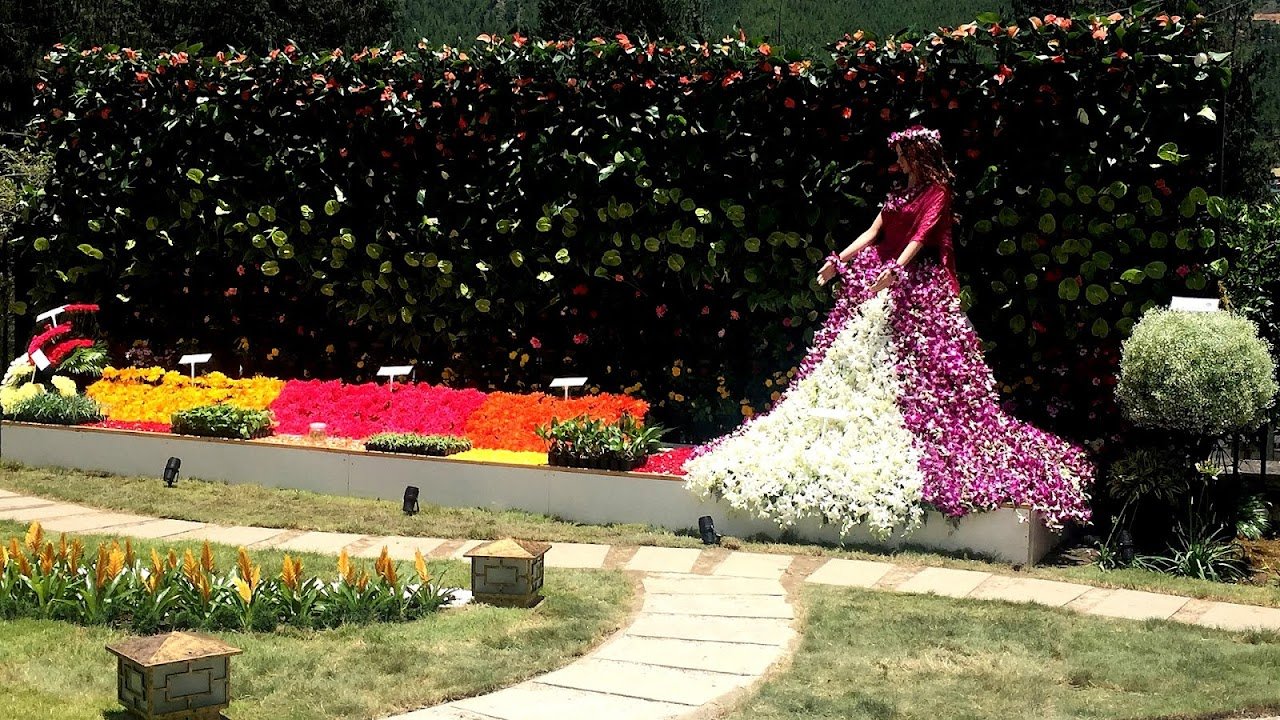 chelsea flower show - flower choices
