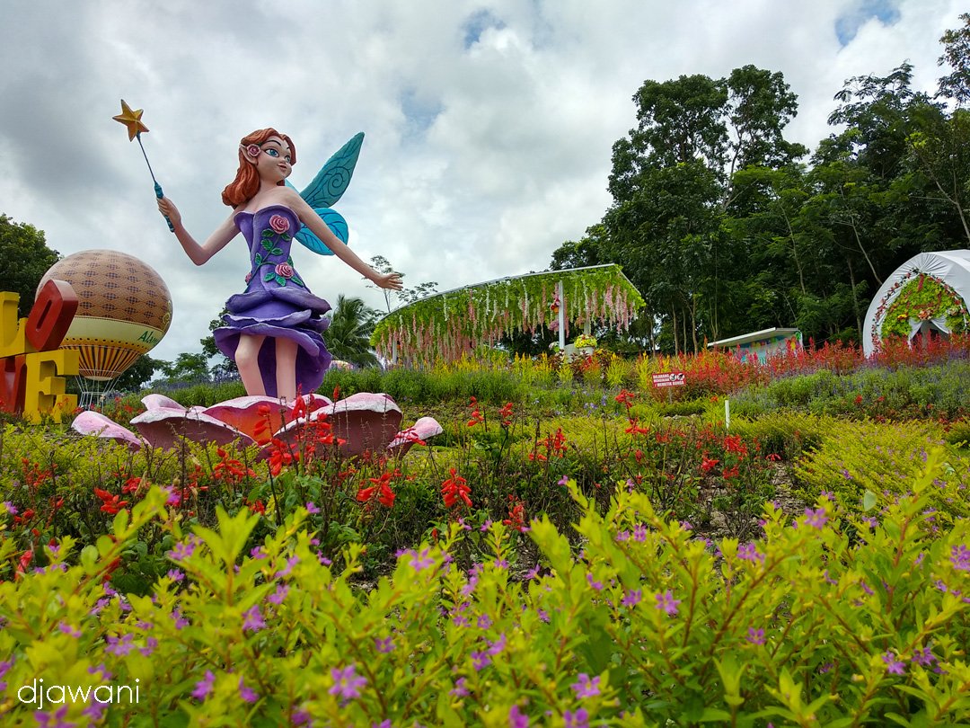 alamanda jogja flower garden, warna warni taman bunga kekinian di