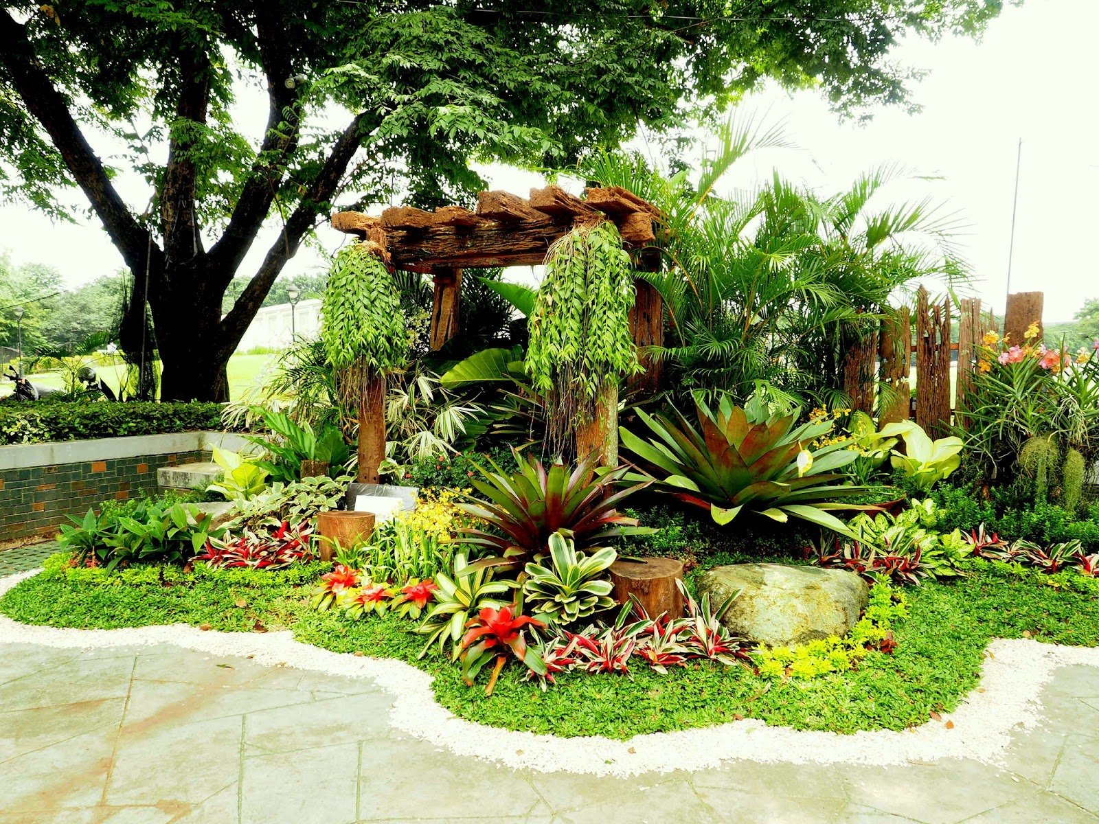 andrea's plants, photos and travels: philippines orchid show 2016
