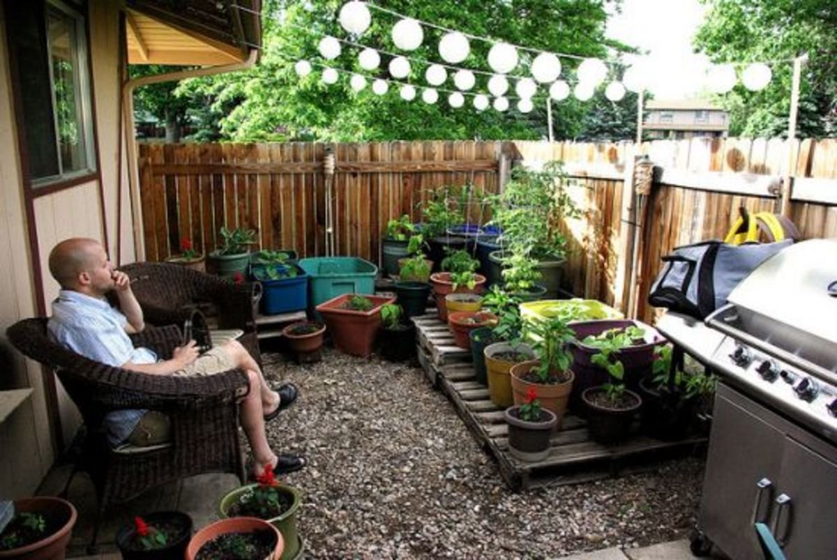 tiny plot, big bounty: 4 small-space gardening inspirations