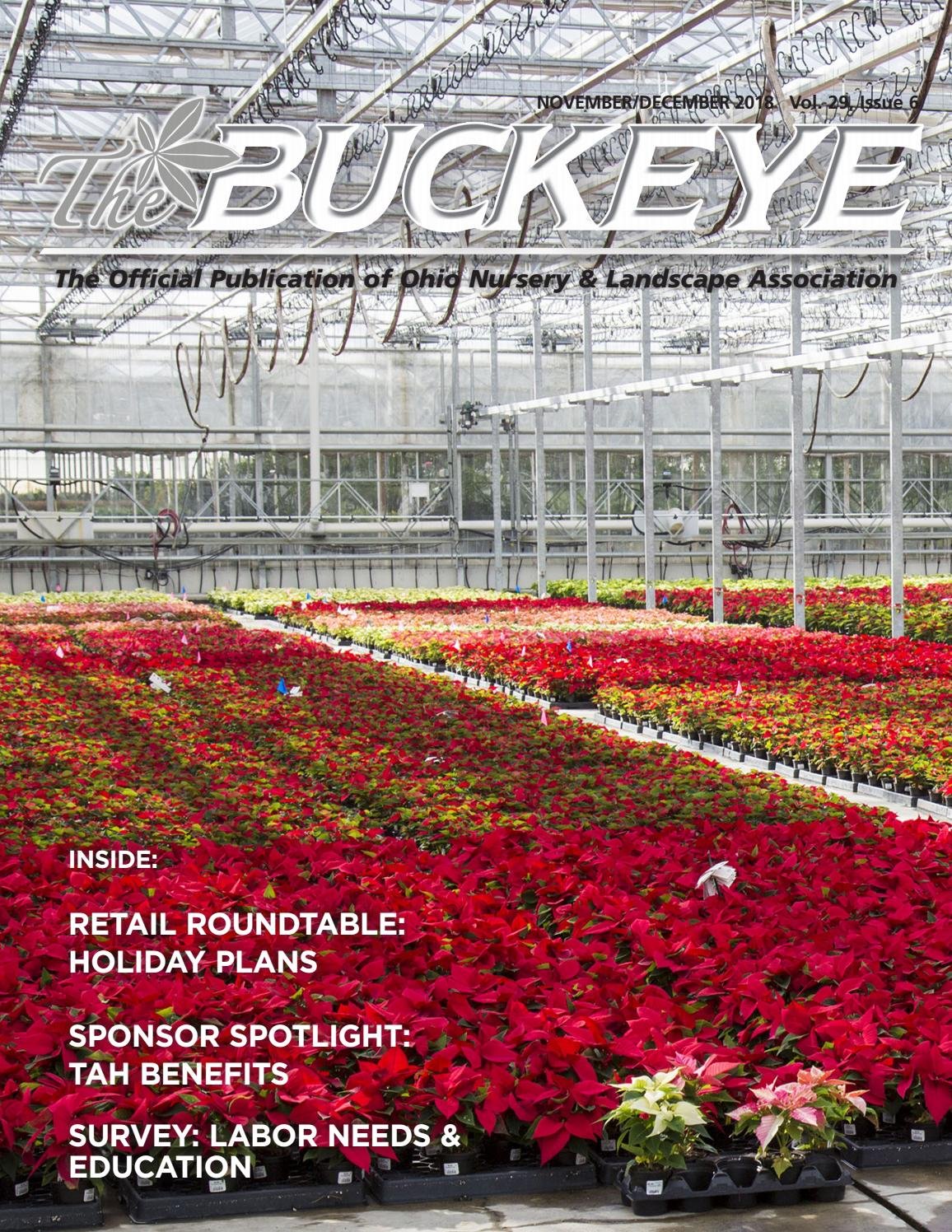 the buckeye, nov/dec 2018 by onla - issuu
