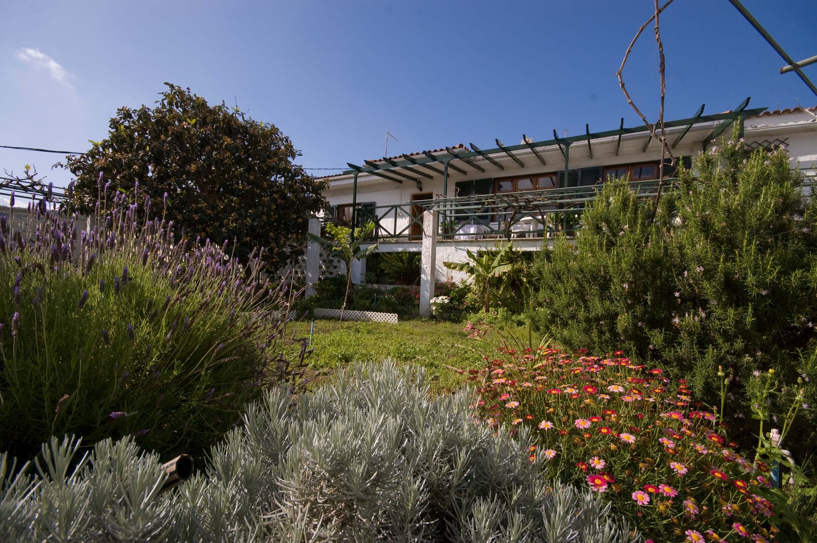 ferienhaus santa brígida - ferienhausurlaub