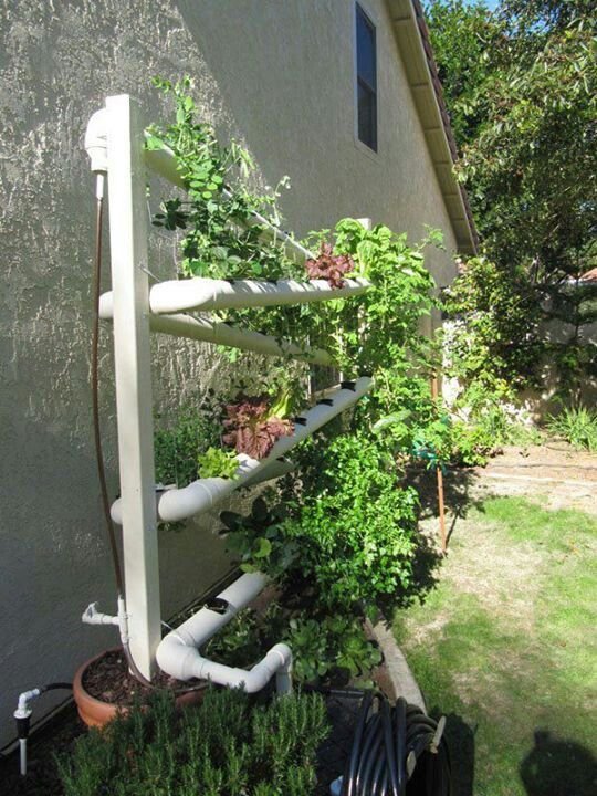 Self watering pvc pipe garden | Good ideas | Pinterest ...