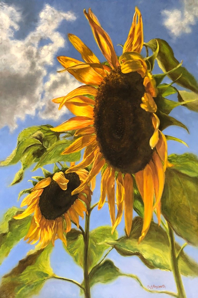 sunflower painting sunflowers gardening flower garden floral art floral  painting landscape painting large painting sue killingsworth 36x24