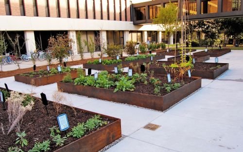 pin by julia bialke on thesis | sustainable landscaping, landscape