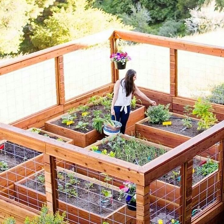 36+ best the do's and don'ts of enclosed garden you must learn #garden