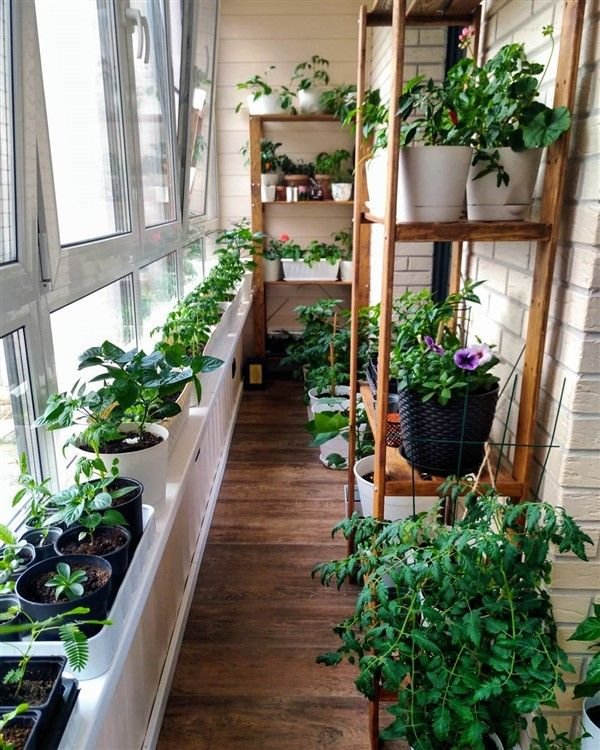 balcony vegetable garden ideas for apartments - apartment patio condo