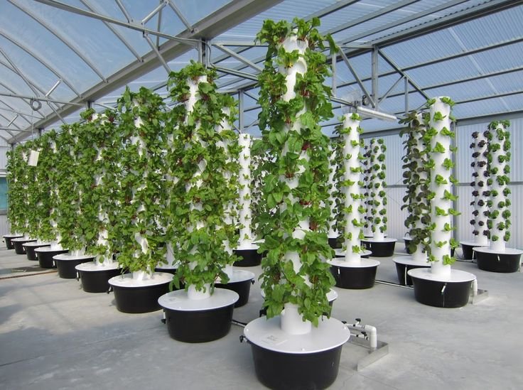 32 best images about HYDROPONICS on Pinterest | Gardens ...