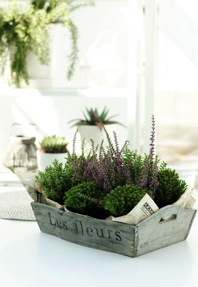 urban gardening programs other large garden landscaping ideas any