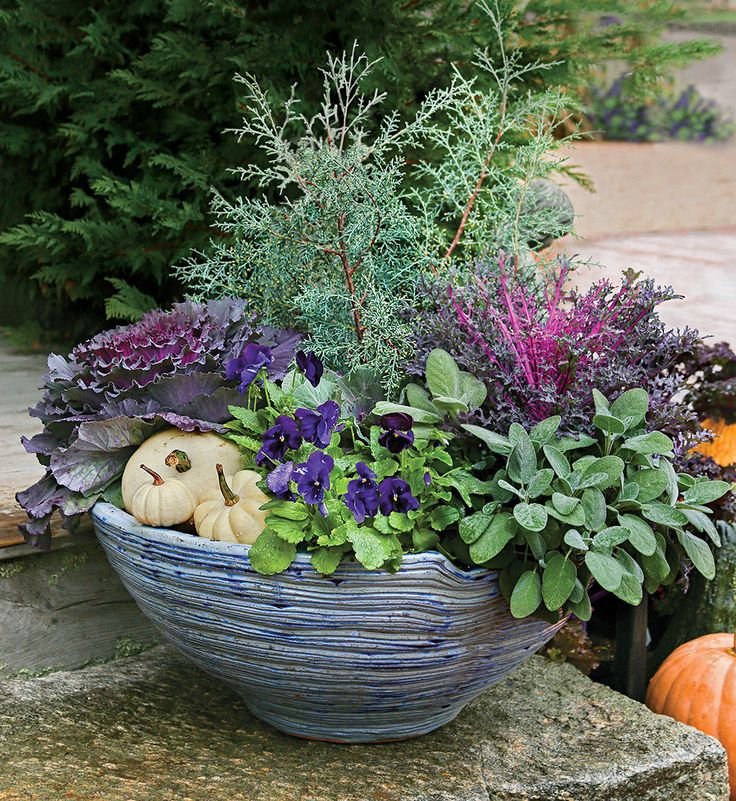autumn pots minus the mums - finegardening | fall flower pots