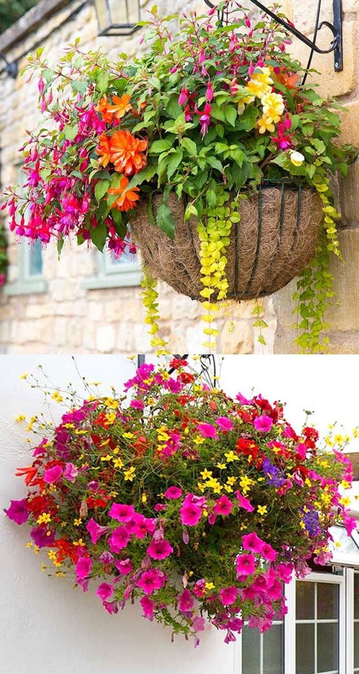 how to plant beautiful flower hanging baskets ( & 20+ best hanging