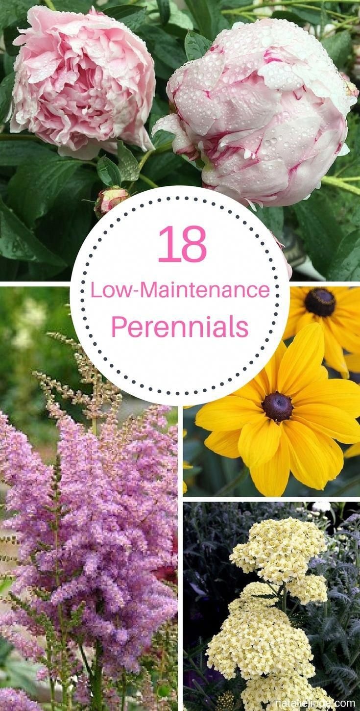 low maintenance garden | easy design yard | garden, garden
