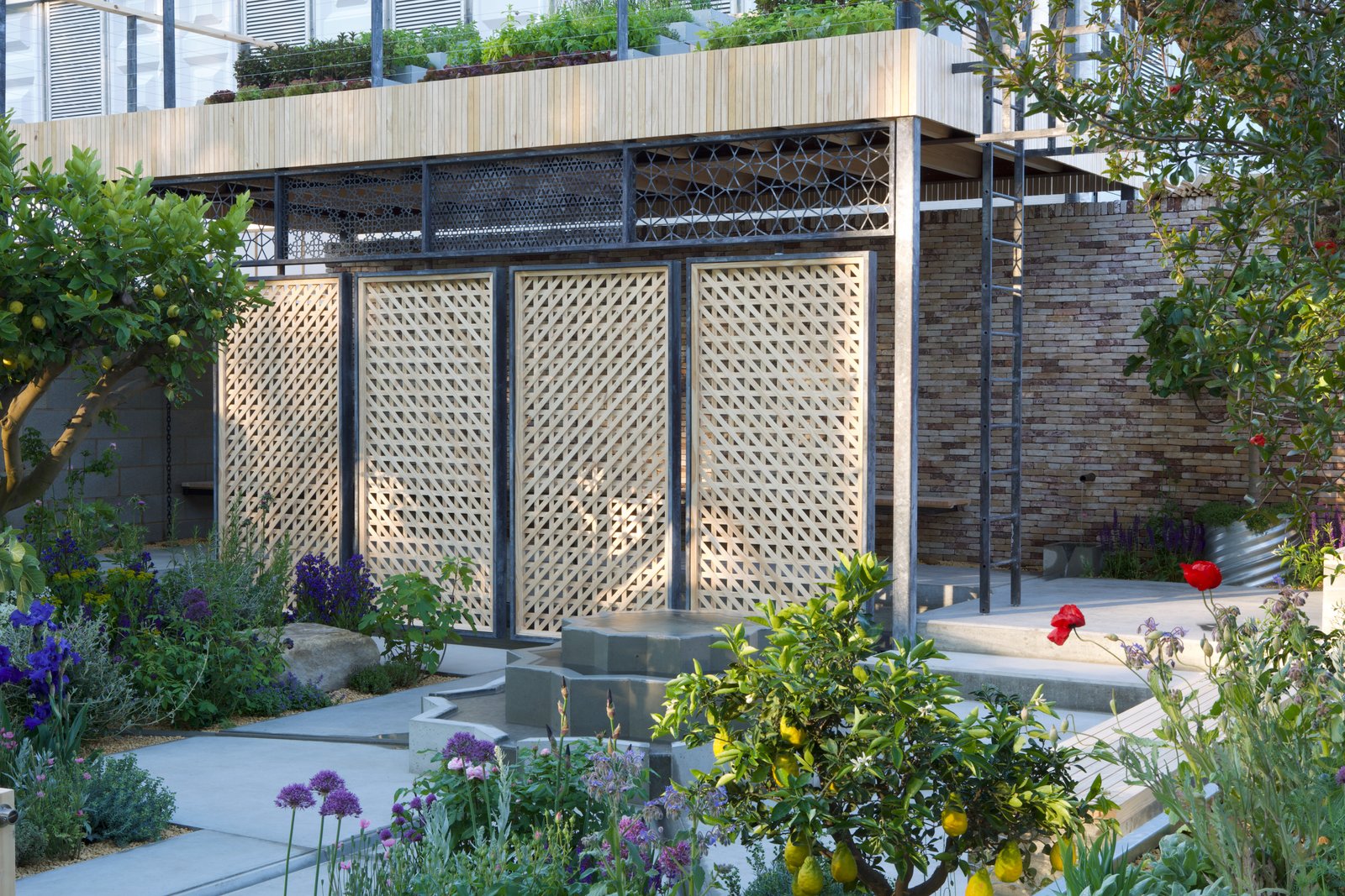 the chelsea flower show is helping refugees with seeds