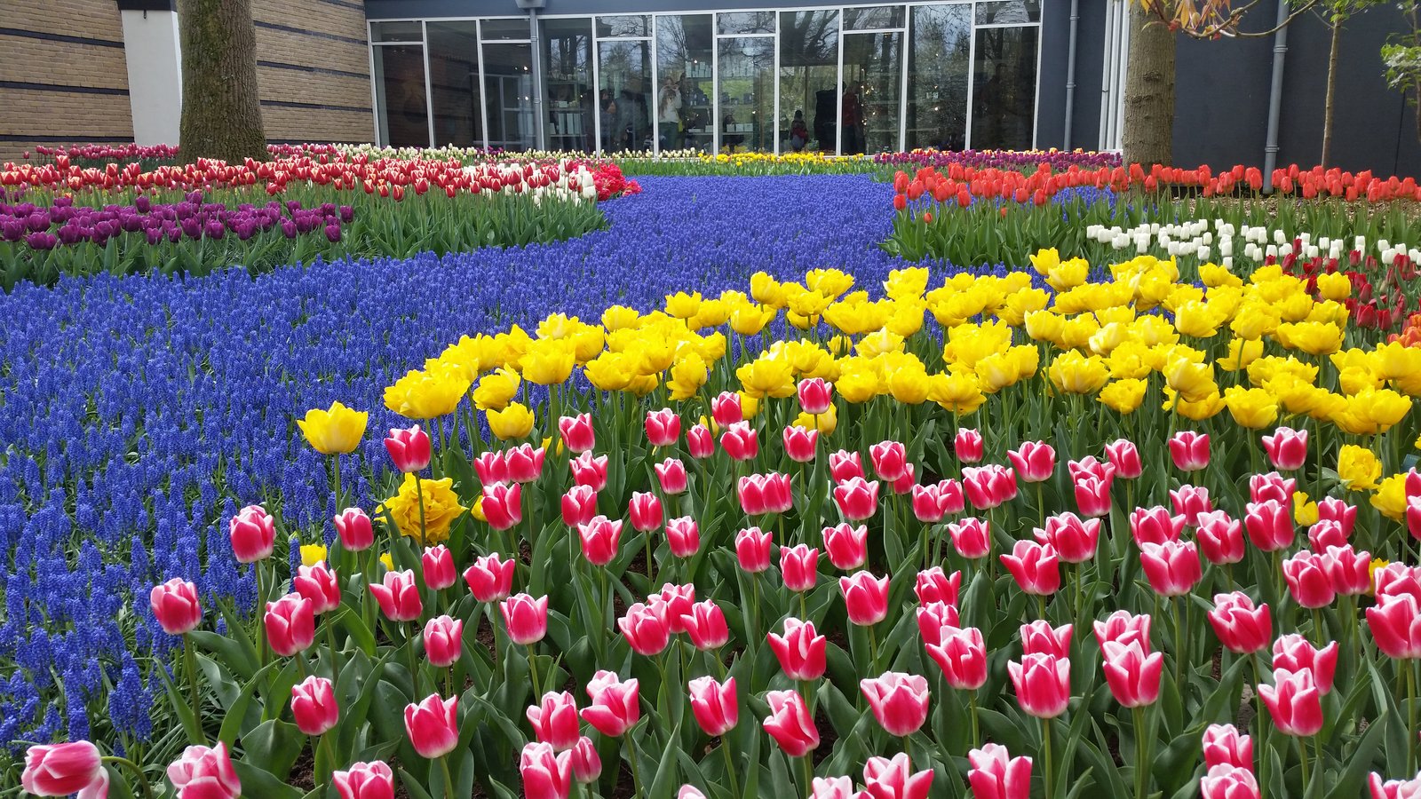 the most beautiful spring garden in the world"