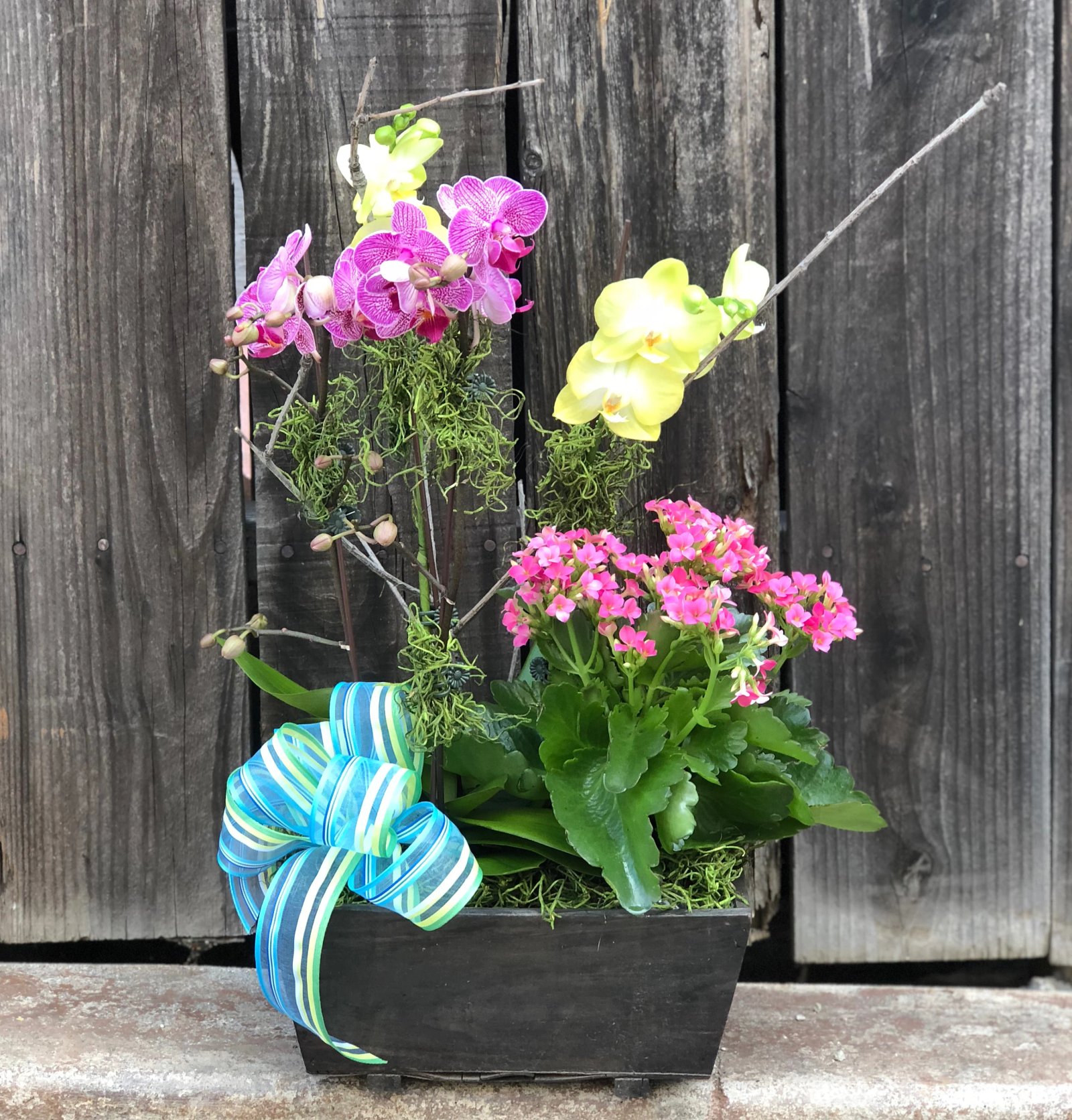 blossom garden orchids in los angeles, ca | westwood flower shop