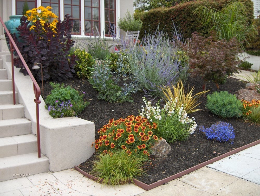 low maintenance drought tolerant front yard - yelp