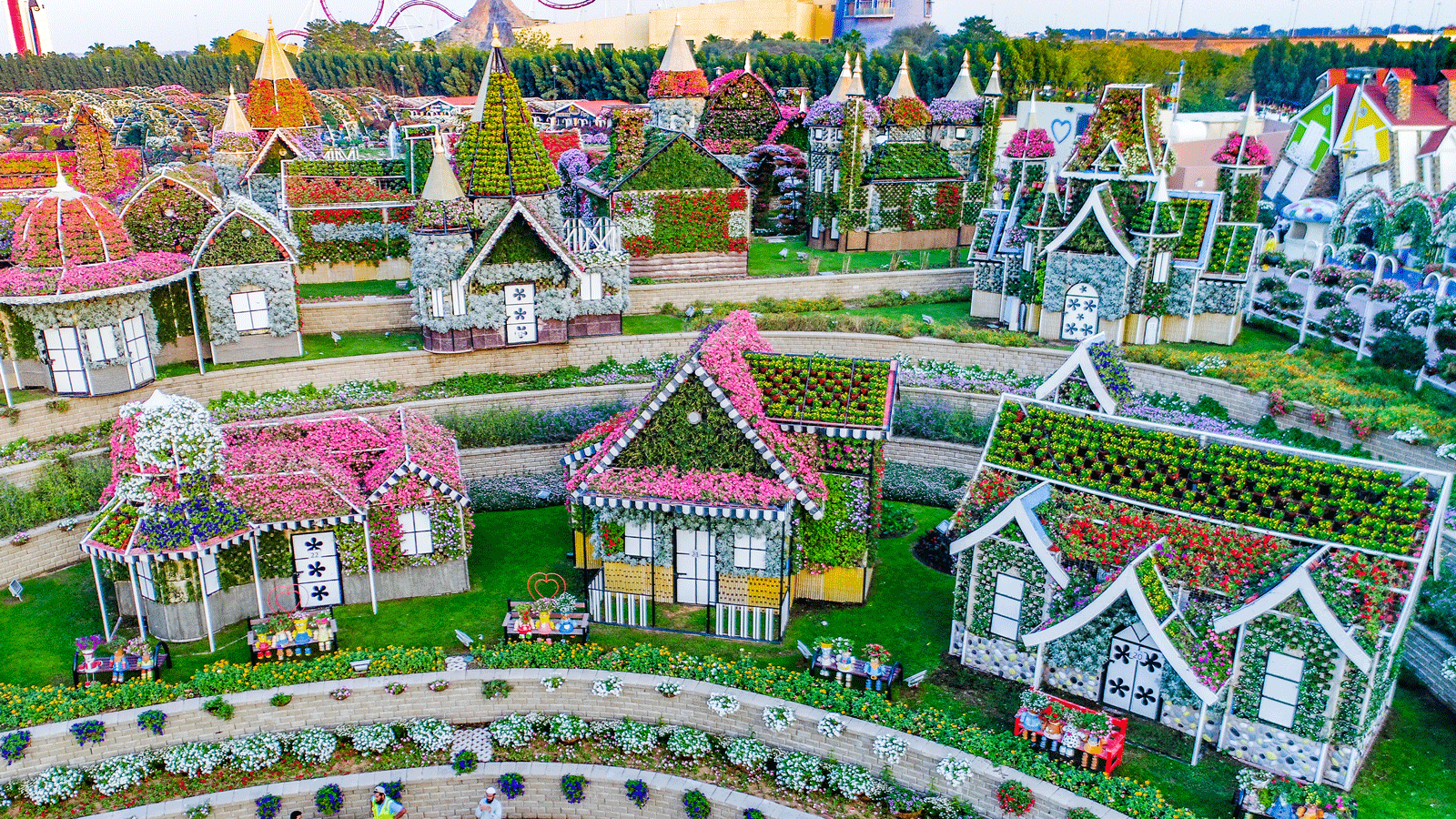 dubai miracle garden: world's largest flower garden | cnn travel