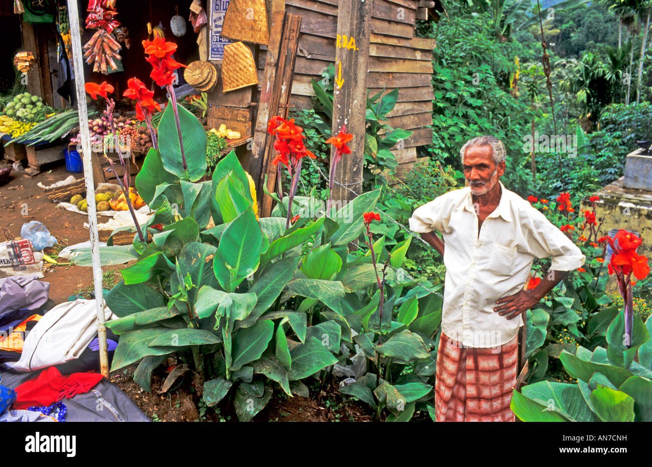 old man in pussellawa sri lanka asia standing in his town roadside