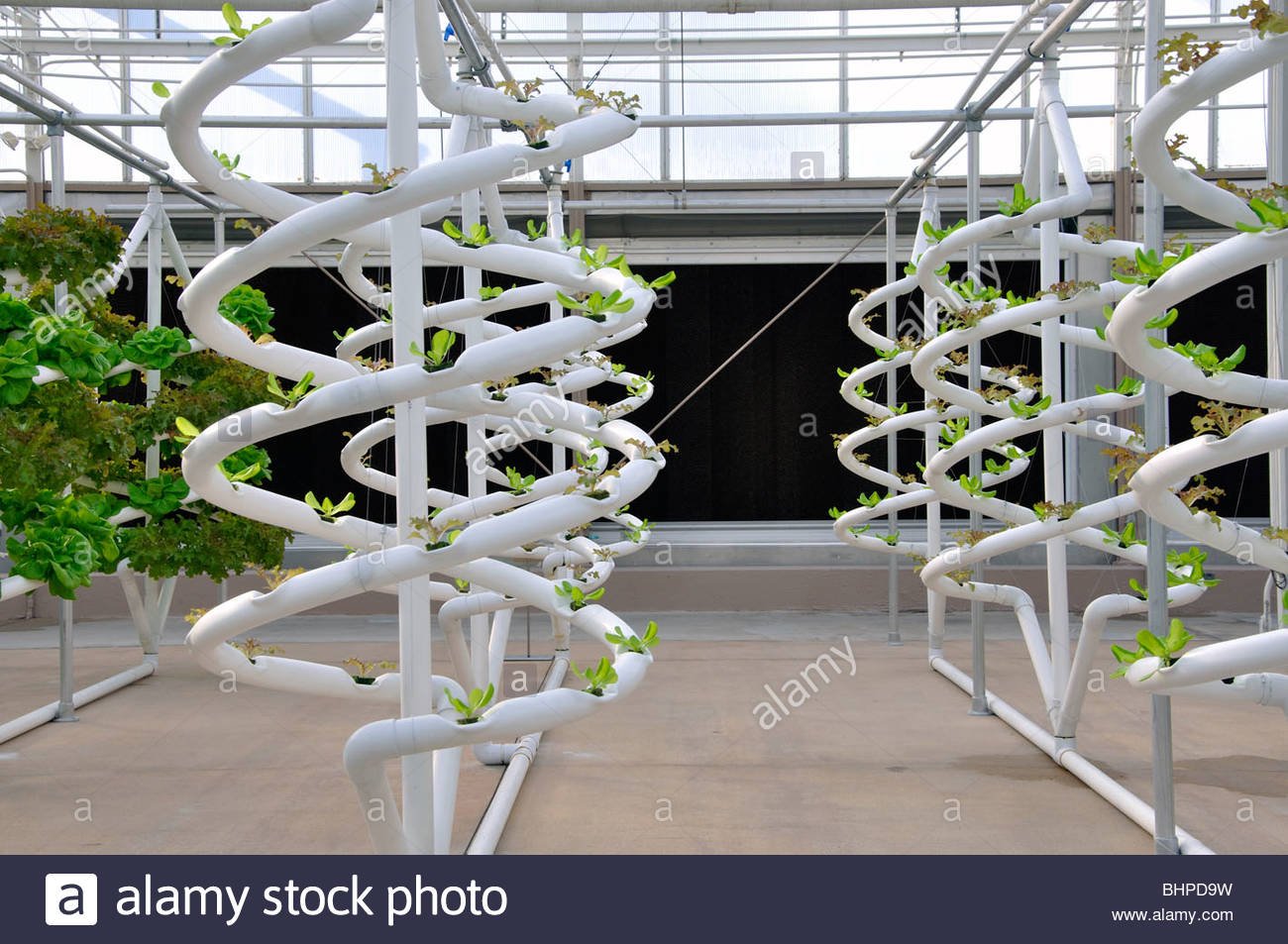 Hydroponic garden at Epcot, Disneyworld,Orlando, Florida ...