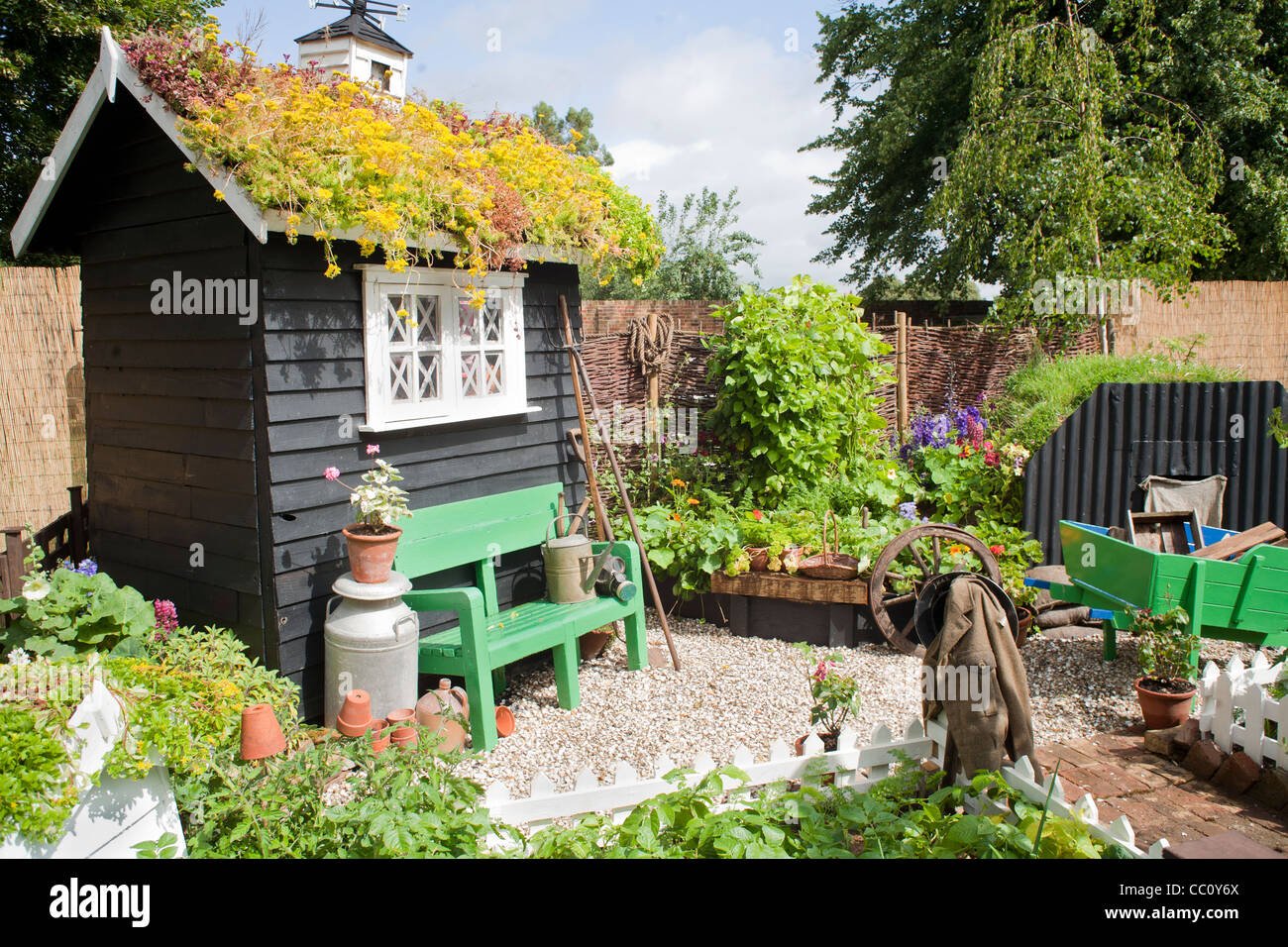 small kitchen garden with black painted shed and edible border stock