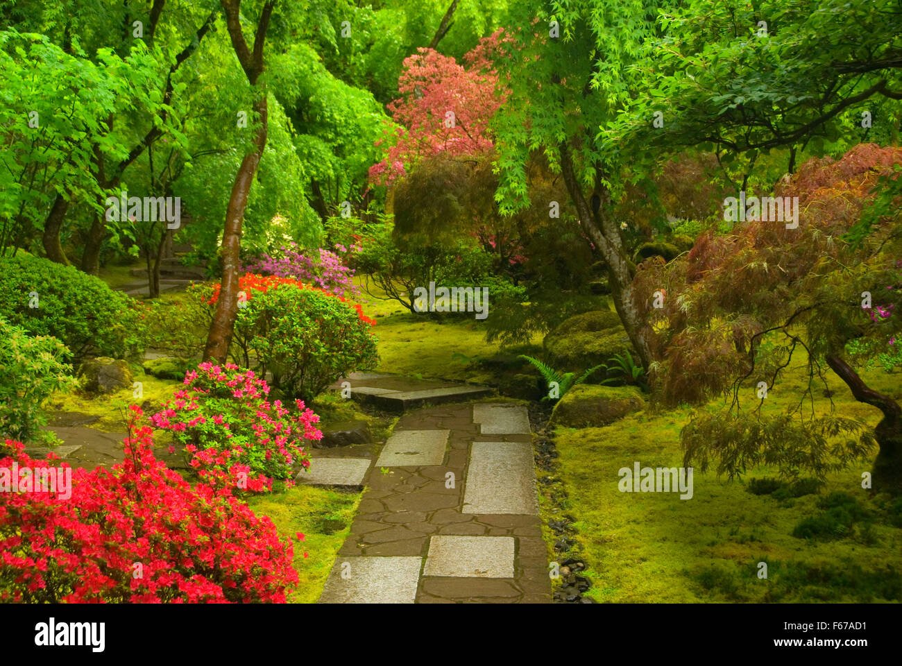 tea garden path, portland japanese garden, washington park, portland