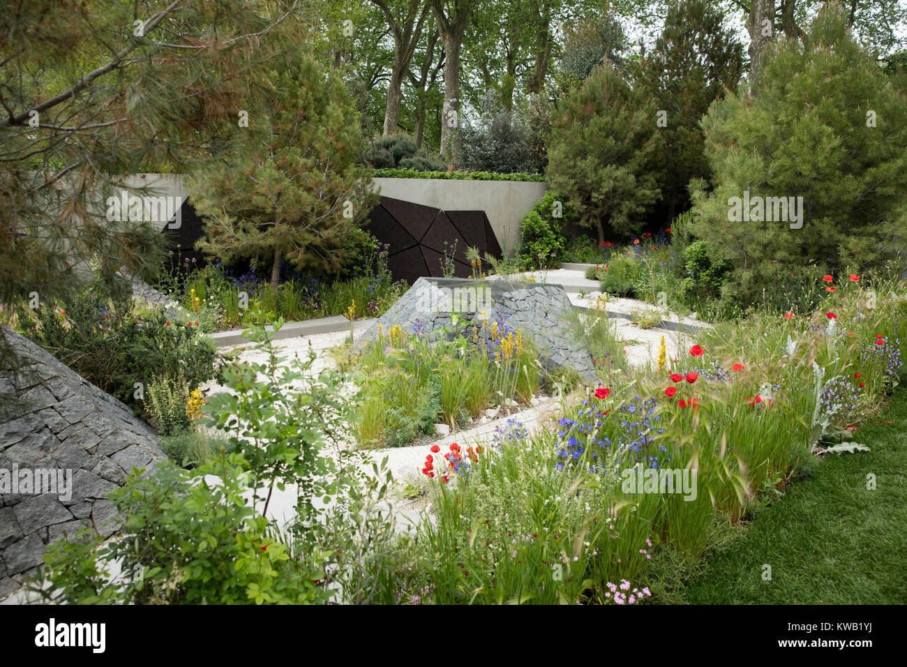 the royal bank of canada garden by hugo bugg at the rhs chelsea