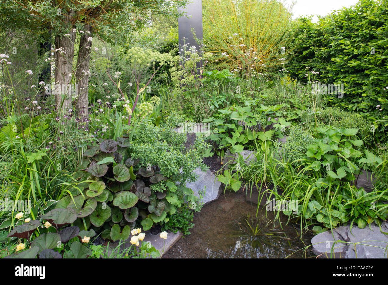 viking cruises: the art of viking garden at the rhs chelsea flower