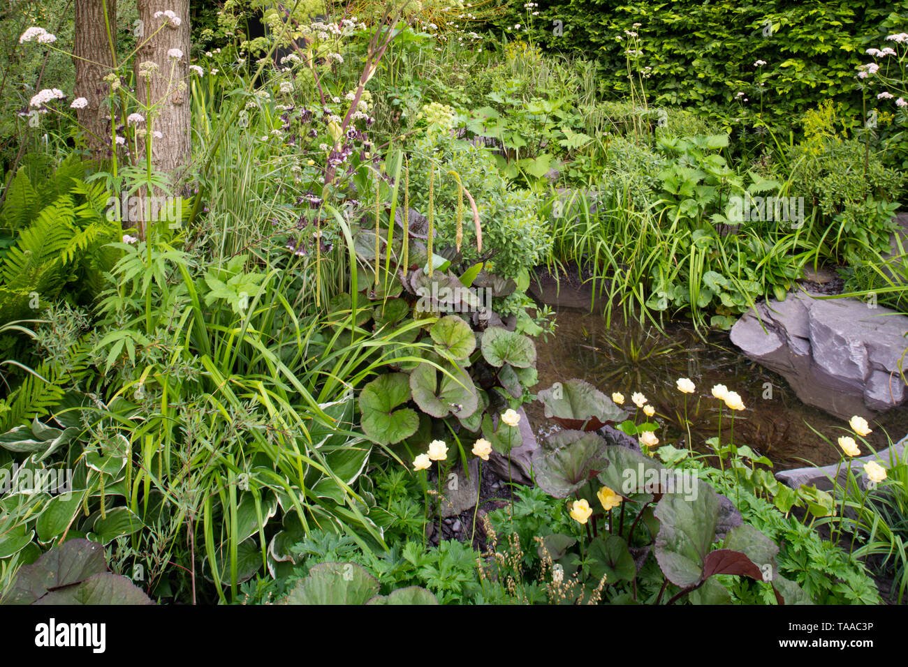 viking cruises: the art of viking garden at the rhs chelsea flower
