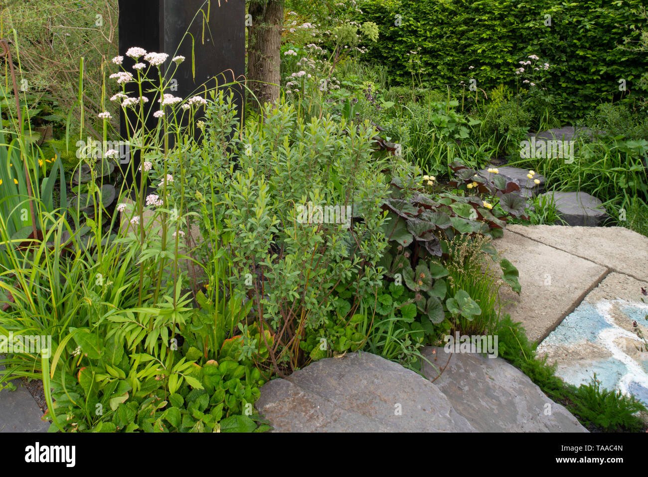 viking cruises: the art of viking garden at the rhs chelsea flower