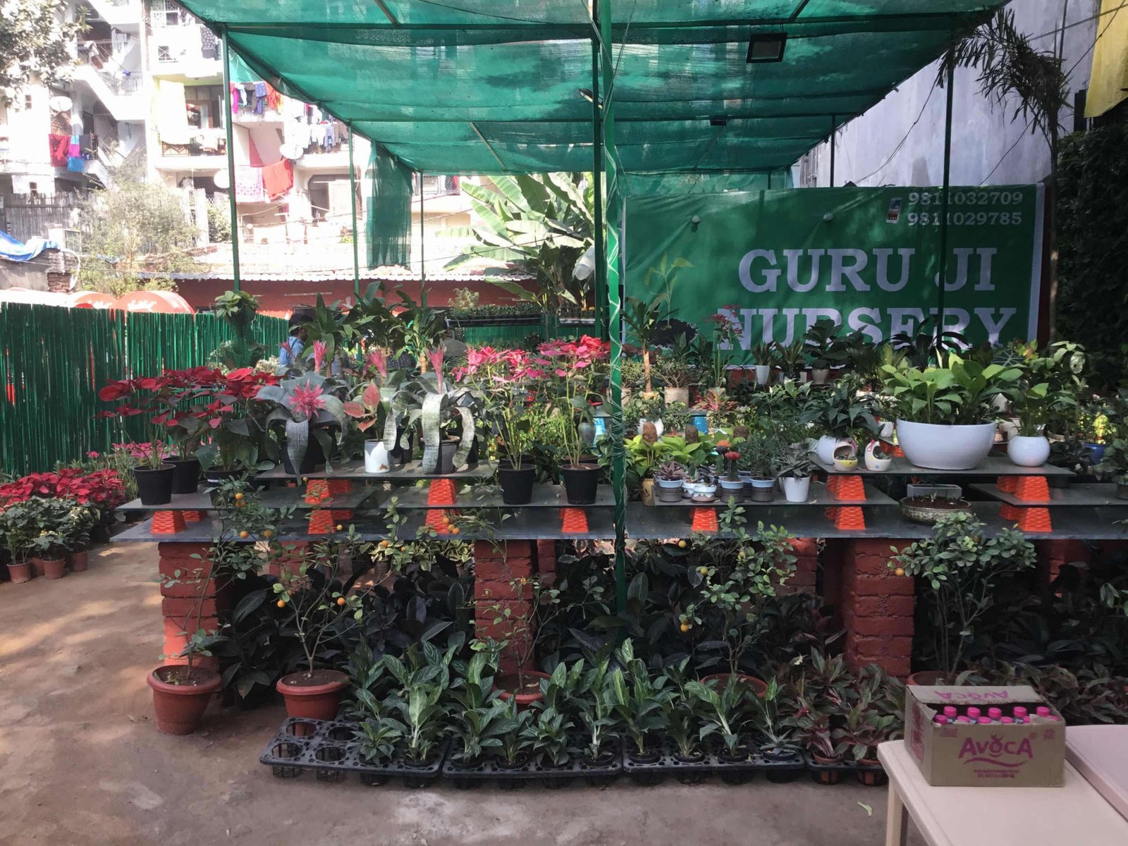 top 10 plant nurseries in saket - best nursery plant suppliers delhi