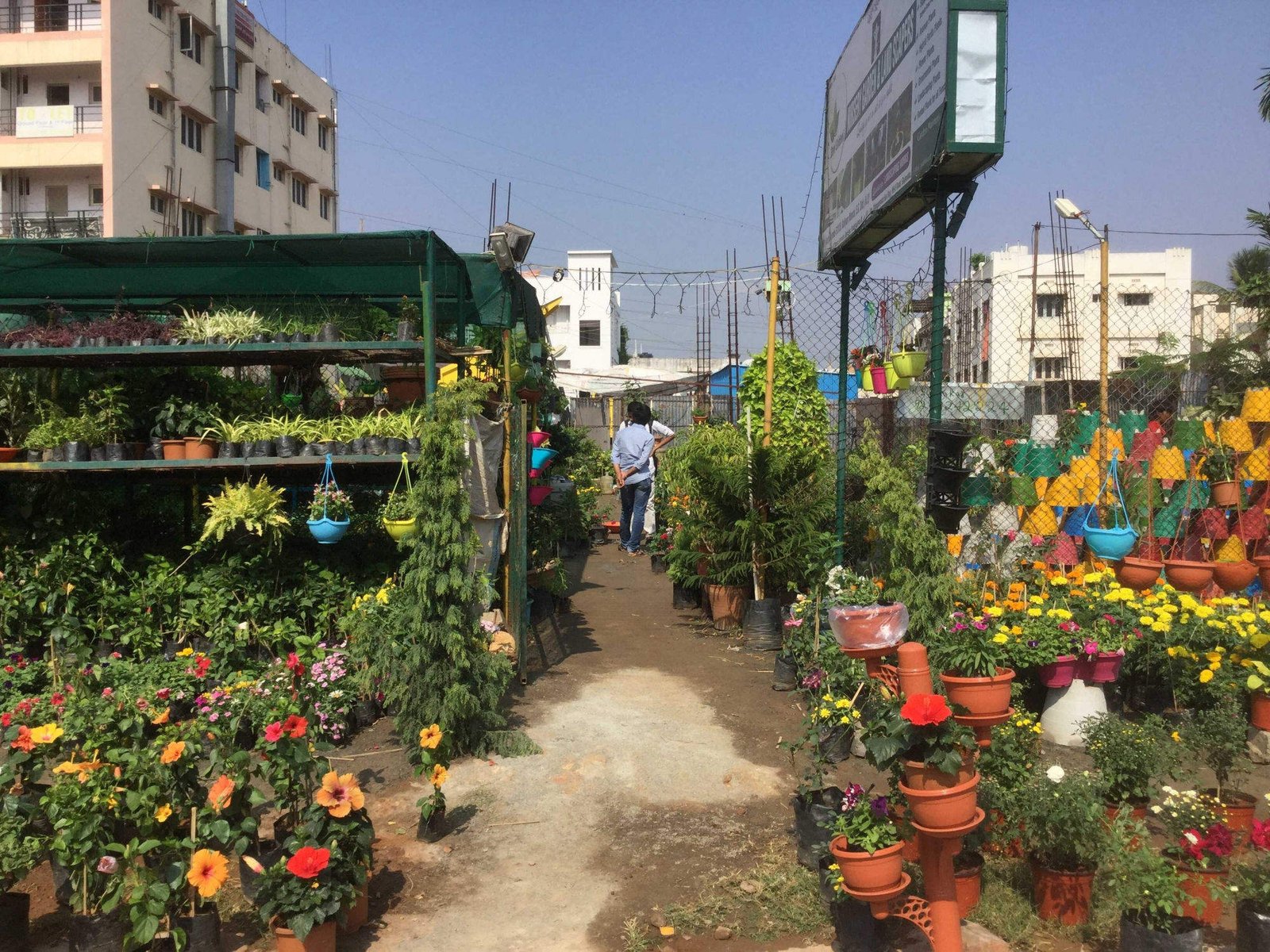 top 50 plant nurseries in visakhapatnam - best nursery plant