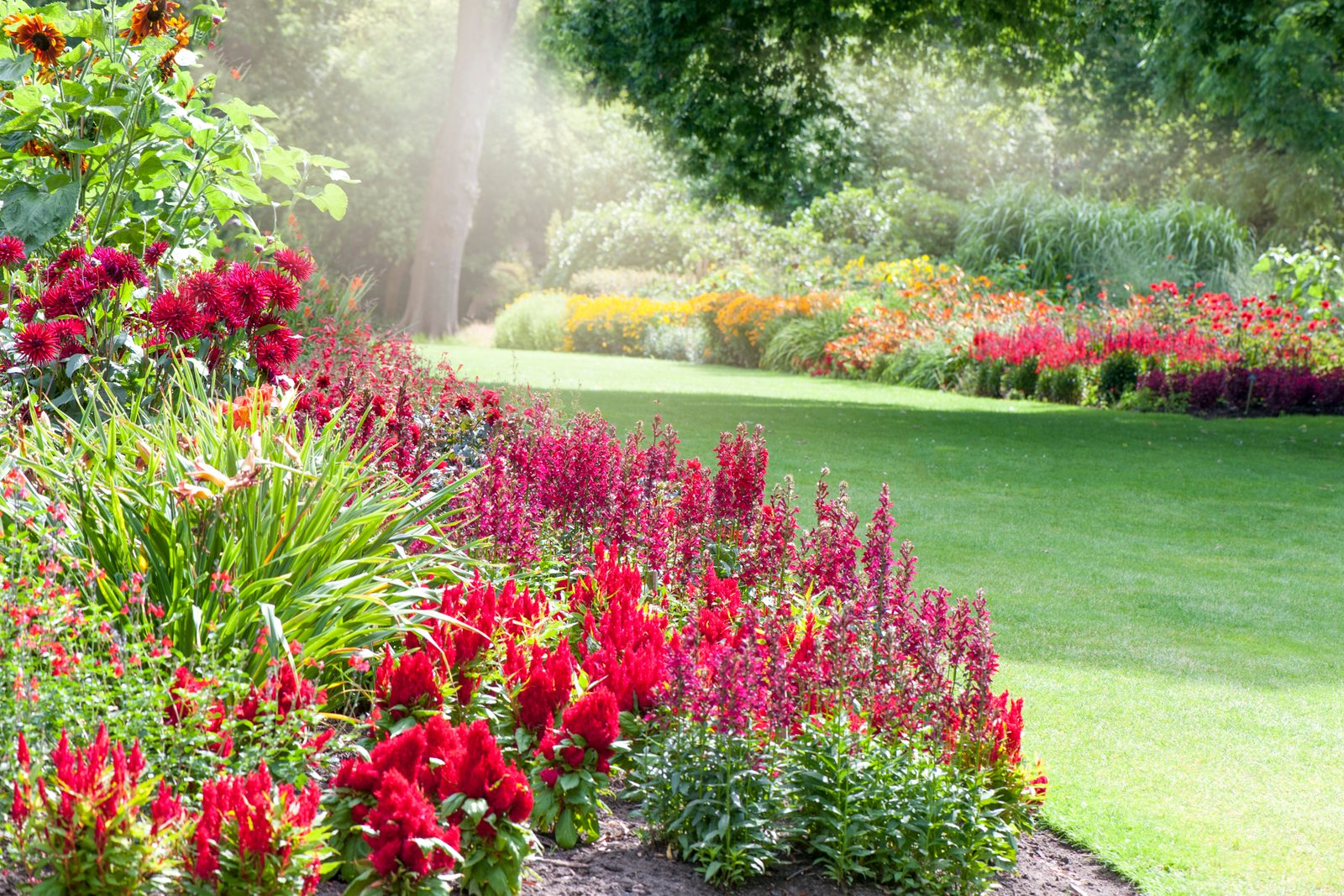 recipe for mole repellent in gardens | home guides | sf gate