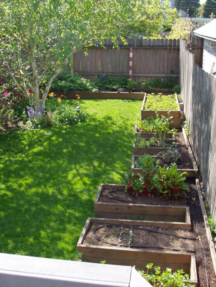 raised herb garden design photograph | raised beds for herb