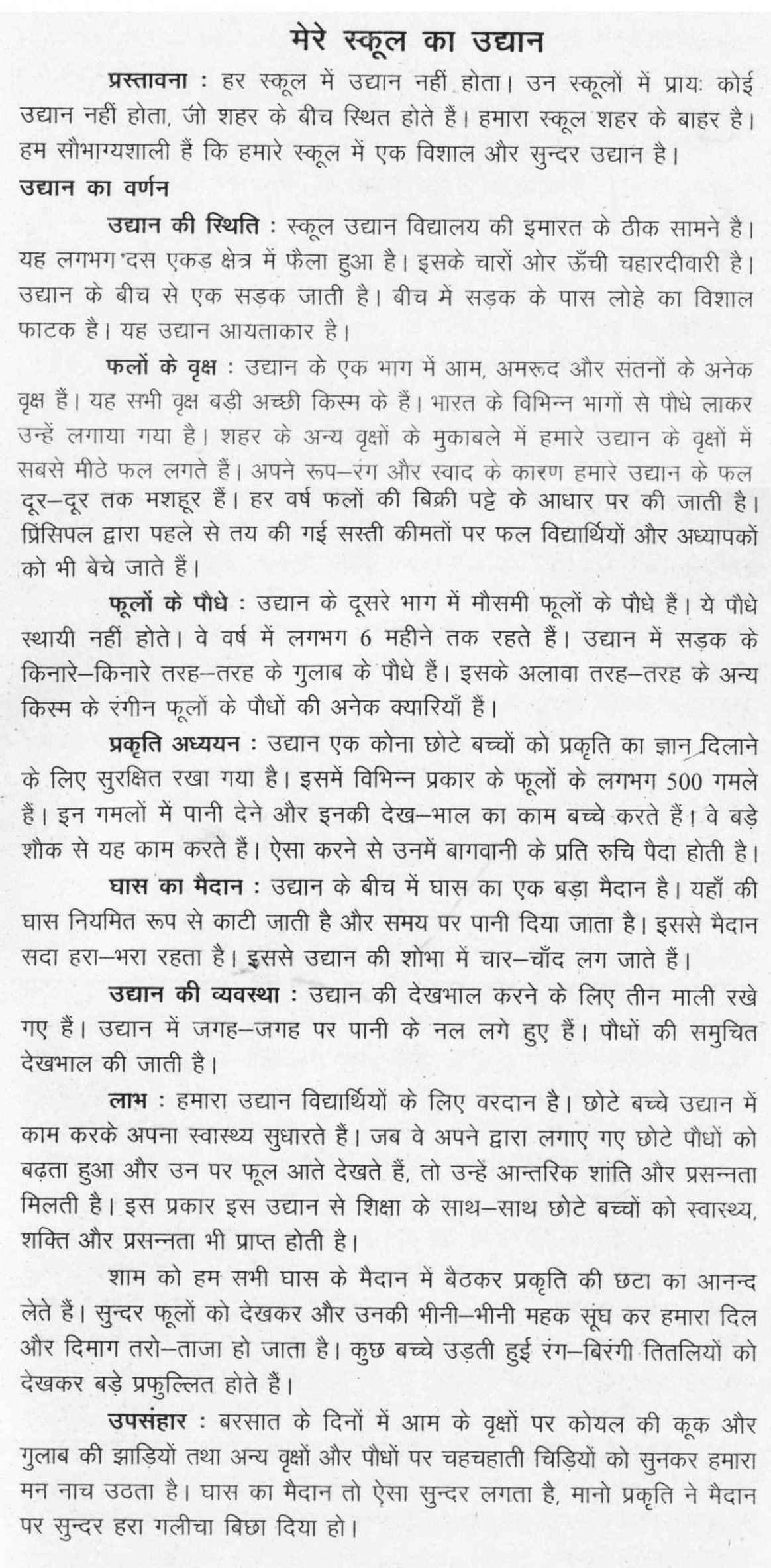 010 our school garden essay bamboodownunder com on gardenssl1