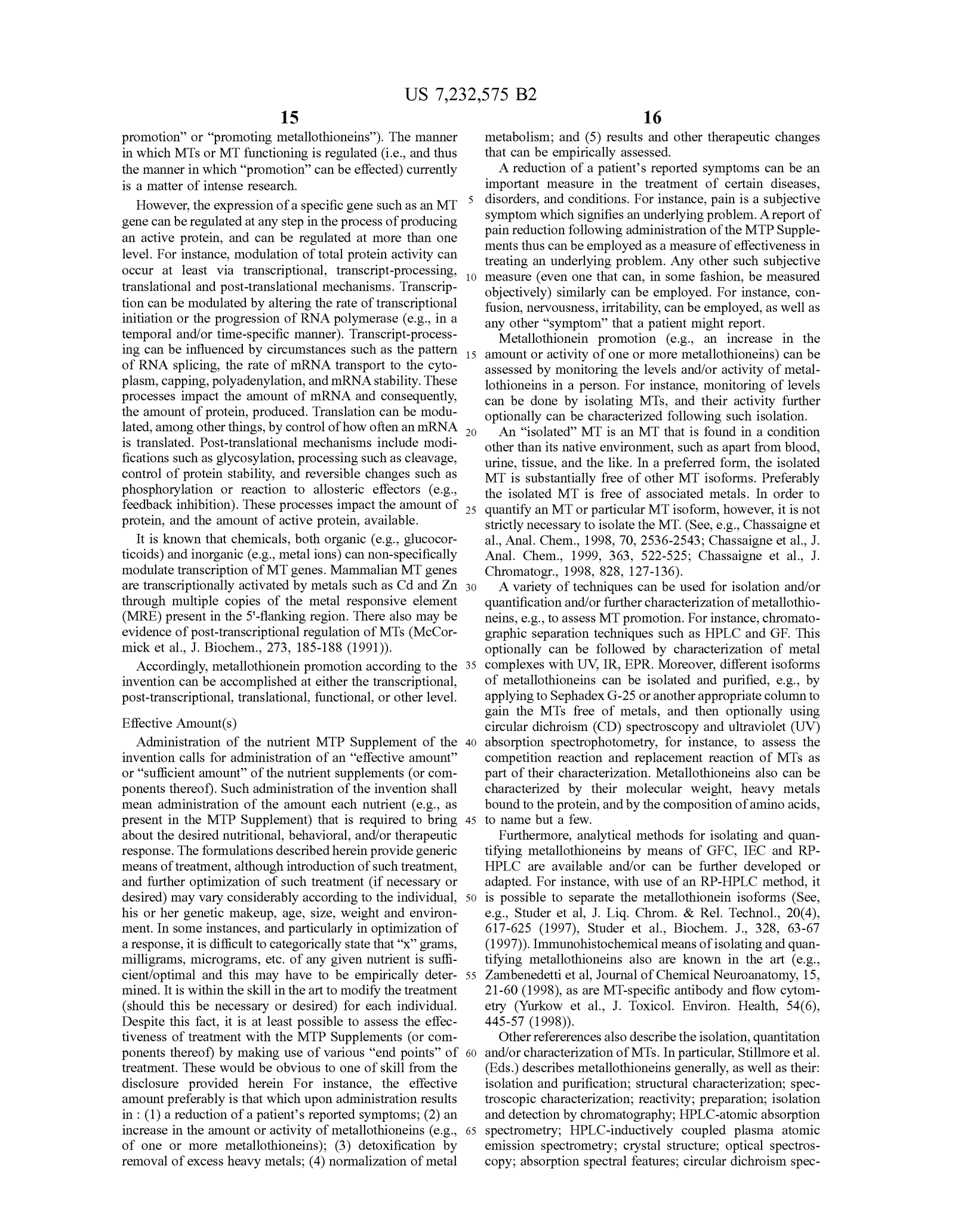 004 essay on garden my for kids in hindi gardening writing 1048x1288