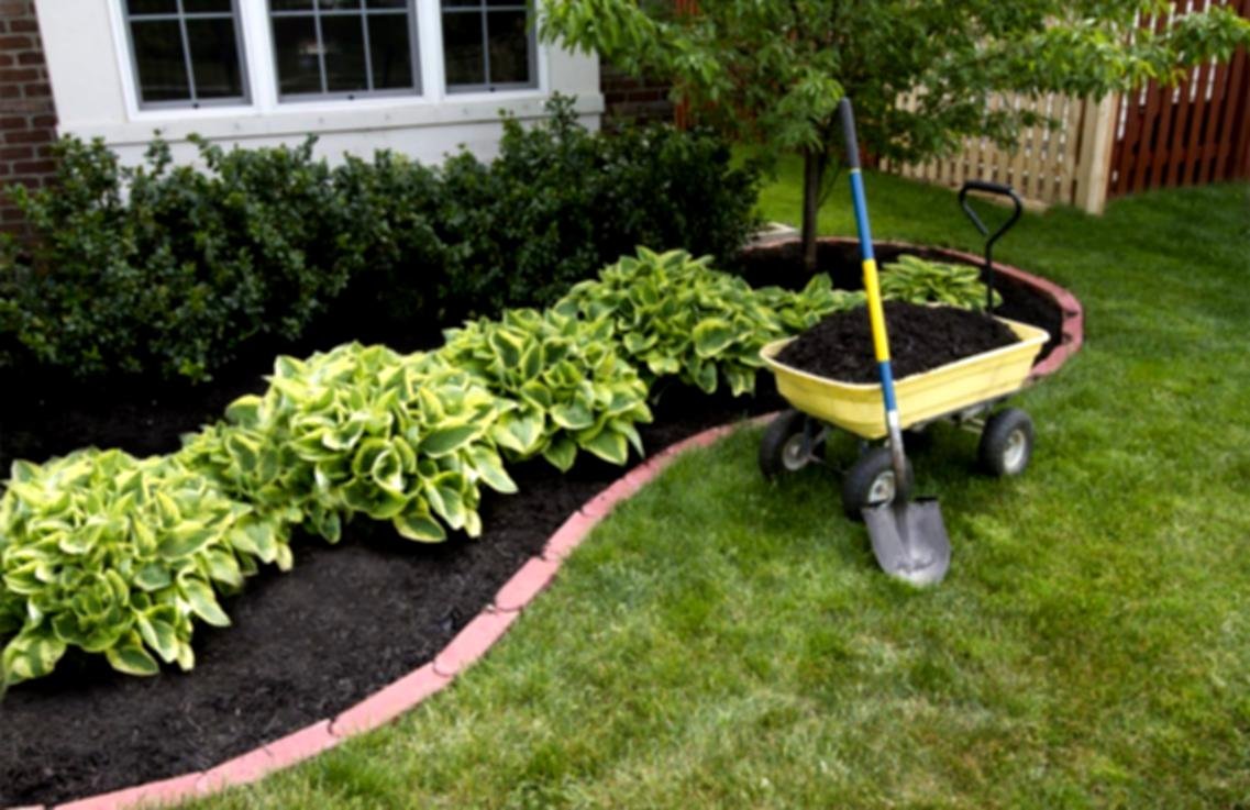 staggering easy backyard garden ideas fresh design simple