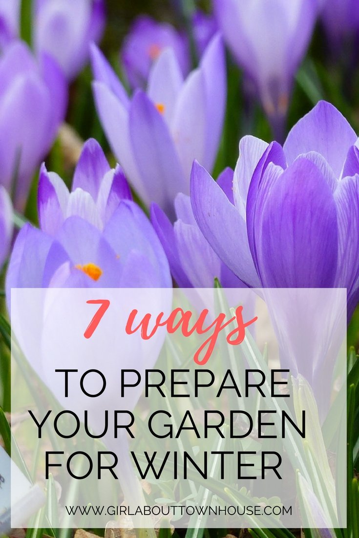 7 ways to prepare your garden for winter - girl about townhouse