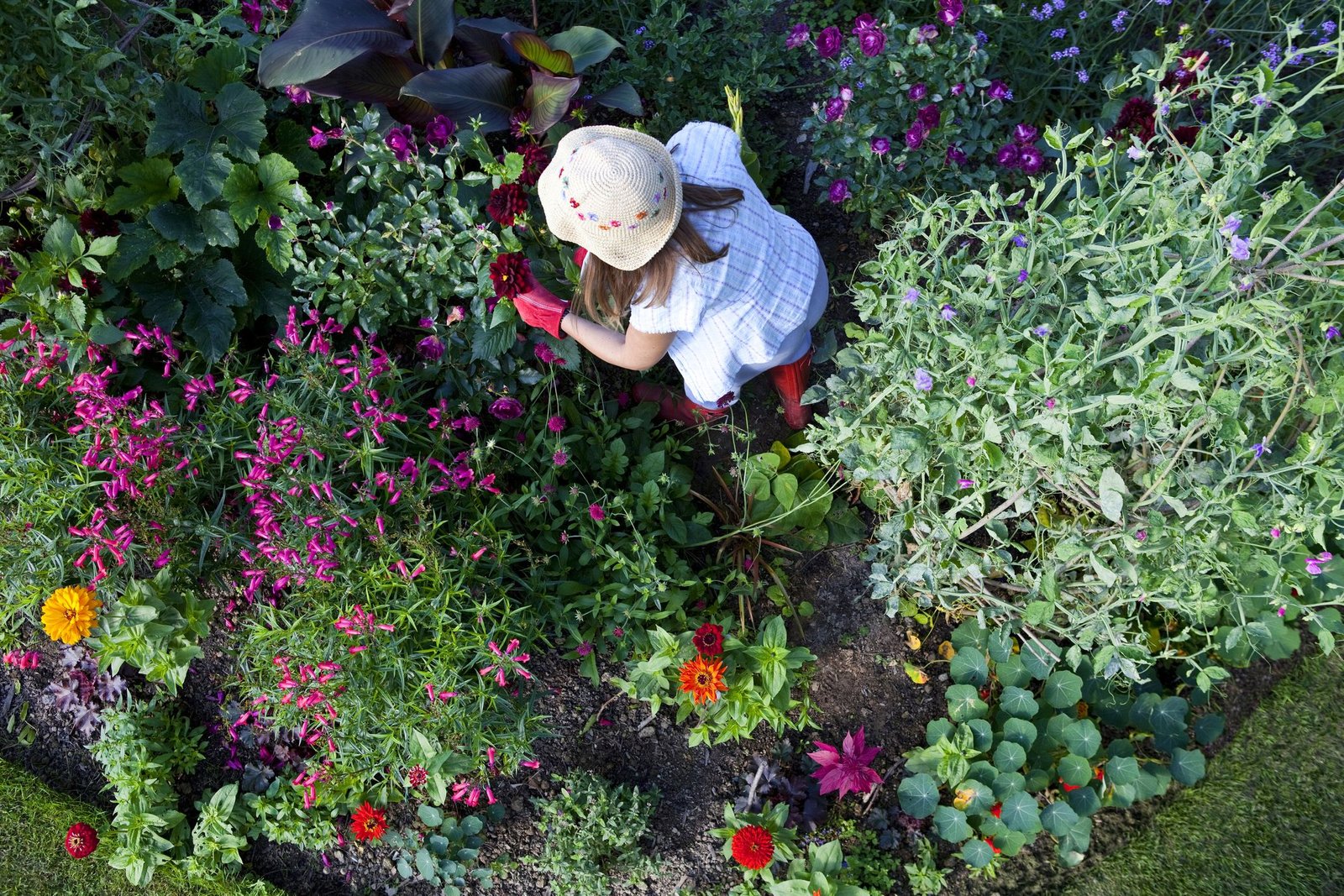 18 best homemade weed killers - how to kill weeds organically