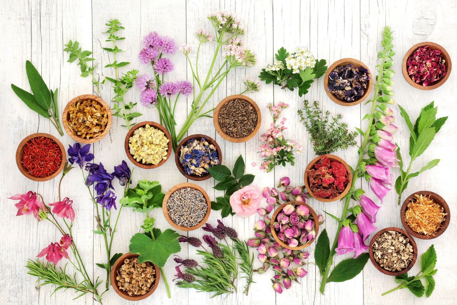 5 flowers for the garden that will boost mood and calm mind