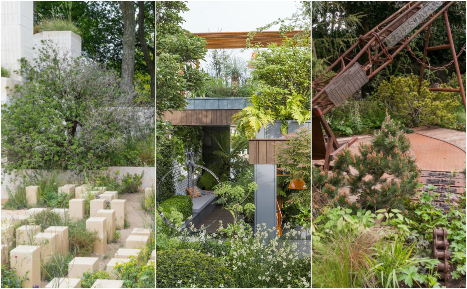 chelsea flower show 2017 - special award winners revealed