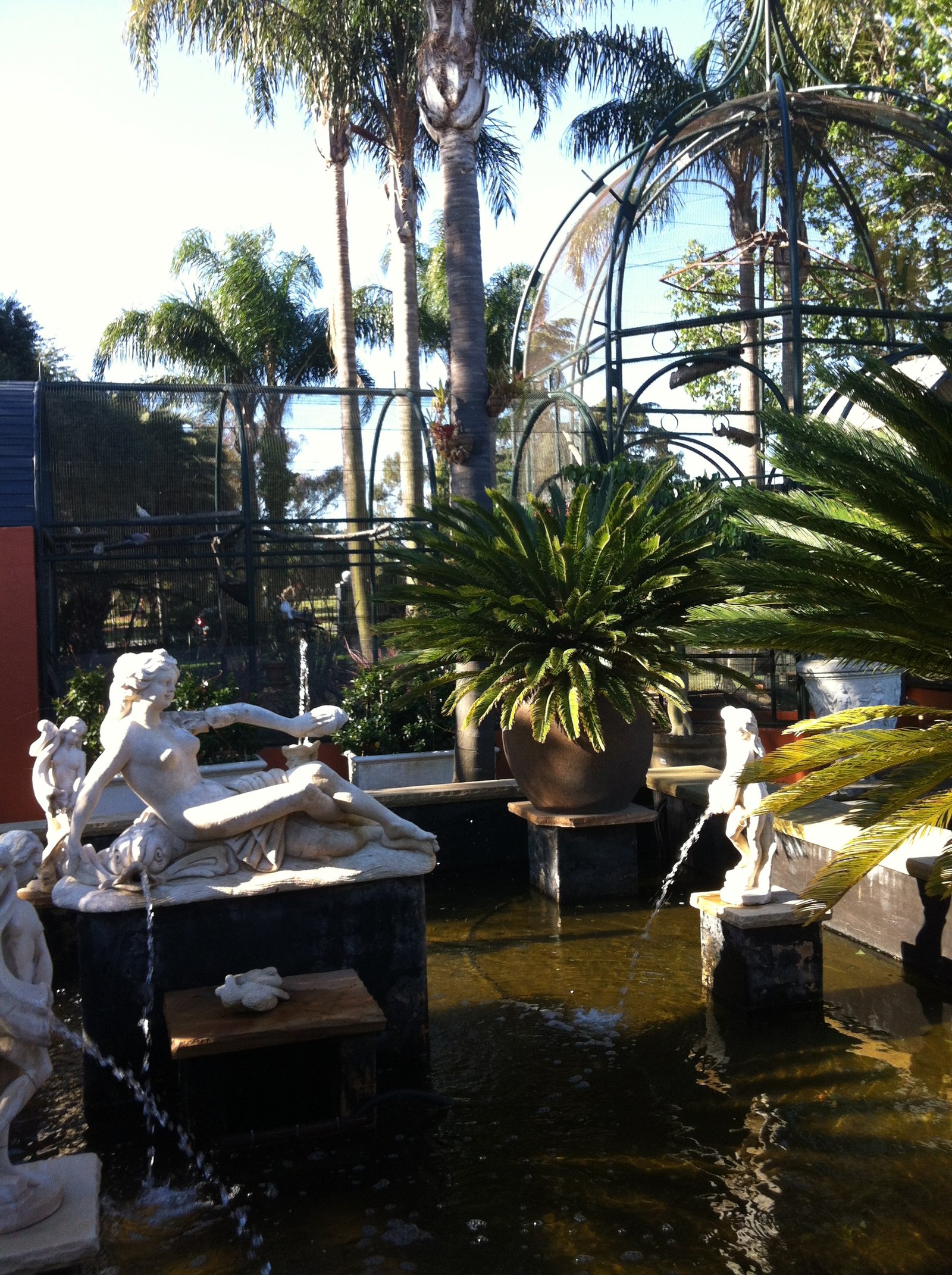 flower power garden centre - enfield - sydney