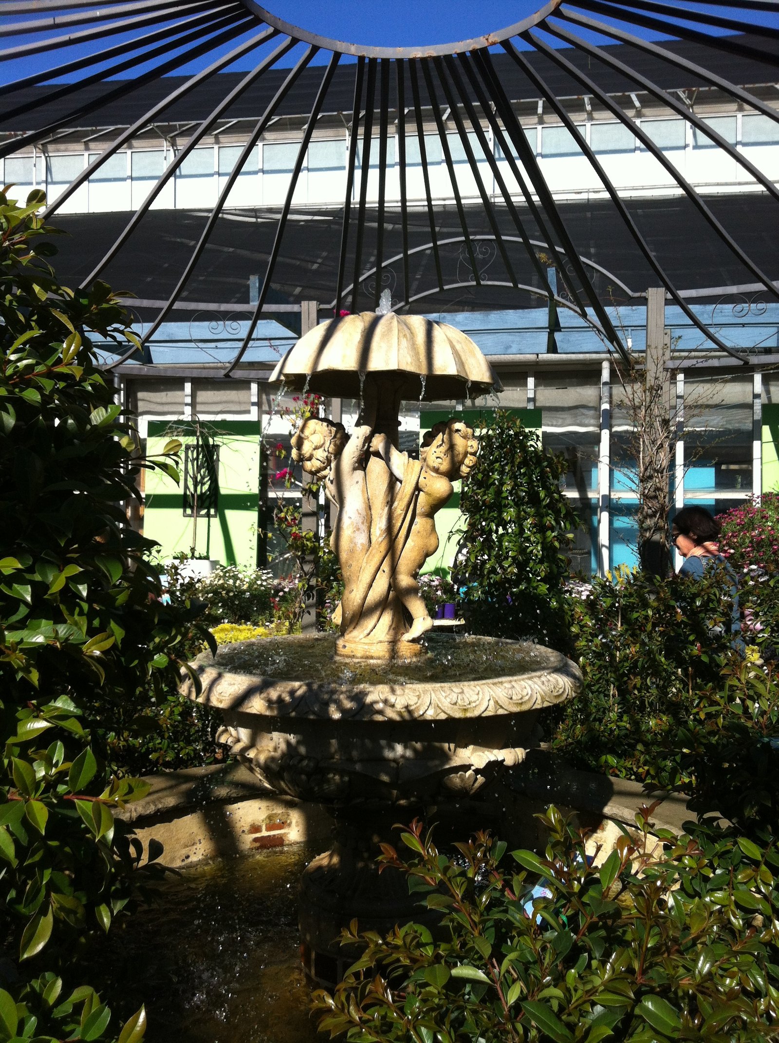 flower power garden centre - enfield - sydney