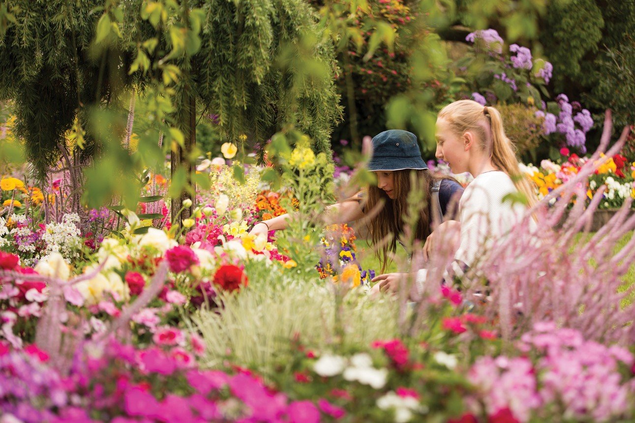 toowoomba carnival of flowers 2017 - brisbane - by claudia bianchi