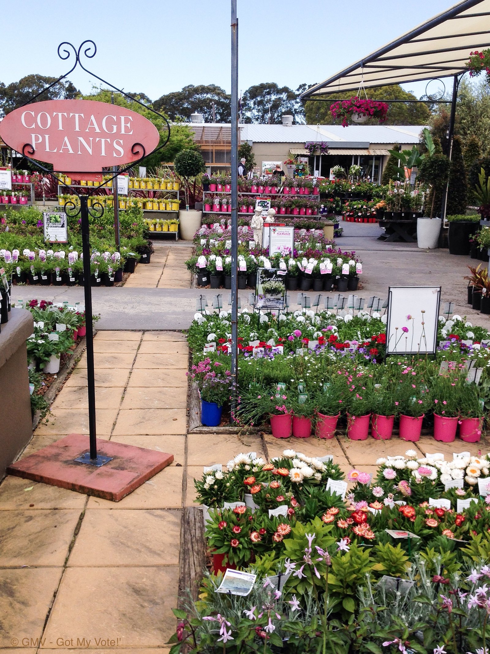 flower power garden centre - terrey hills - sydney