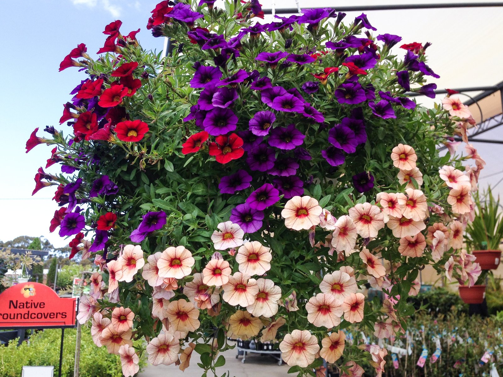 flower power garden centre - terrey hills - sydney