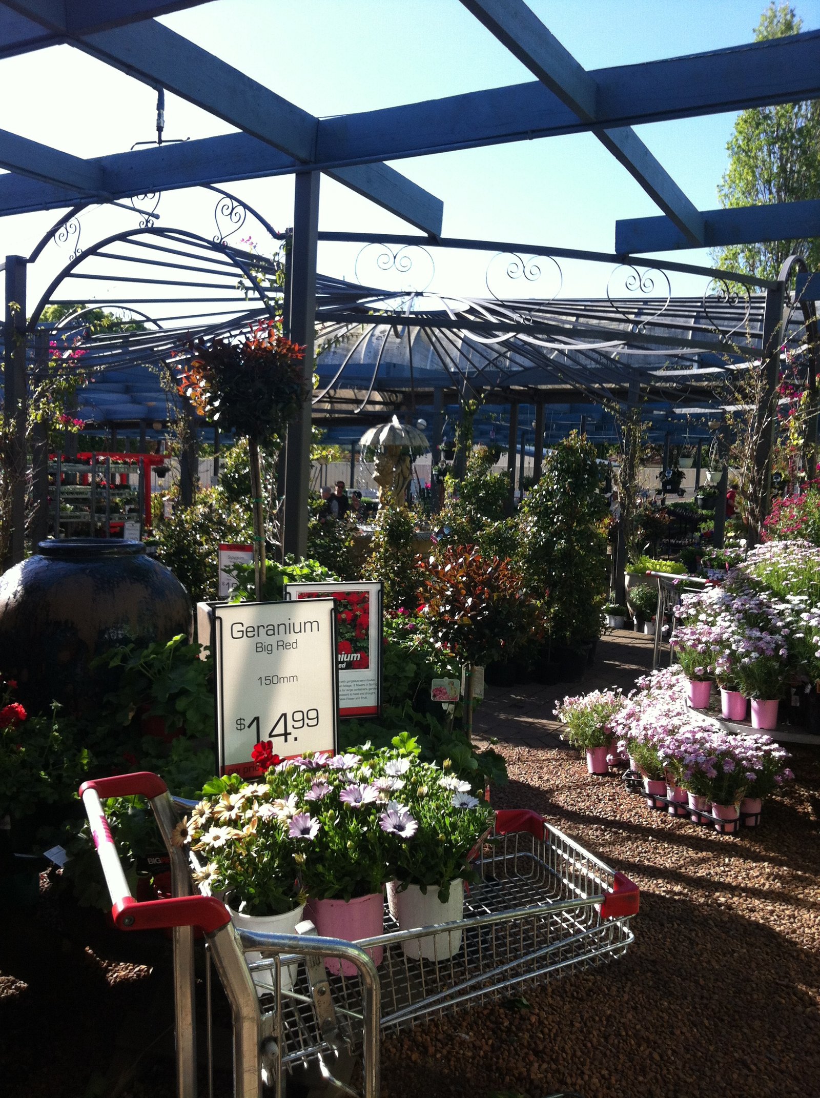 flower power garden centre - enfield - sydney