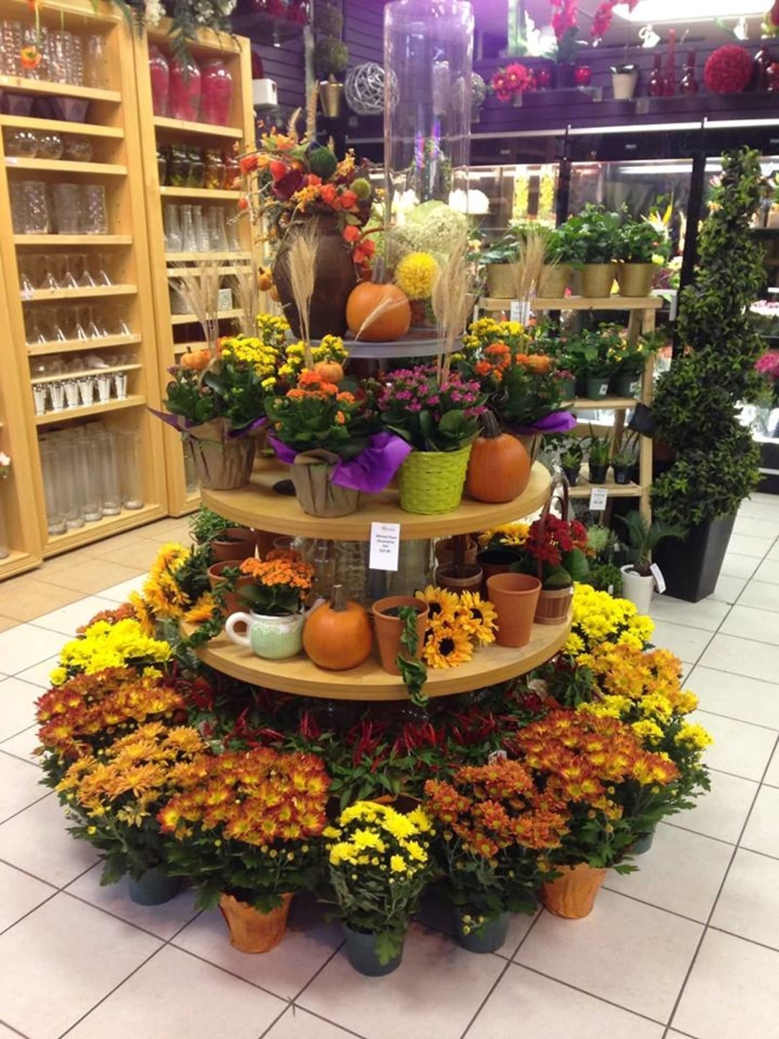 petals by s & a inc - opening hours - 167-2305 mcphillips st