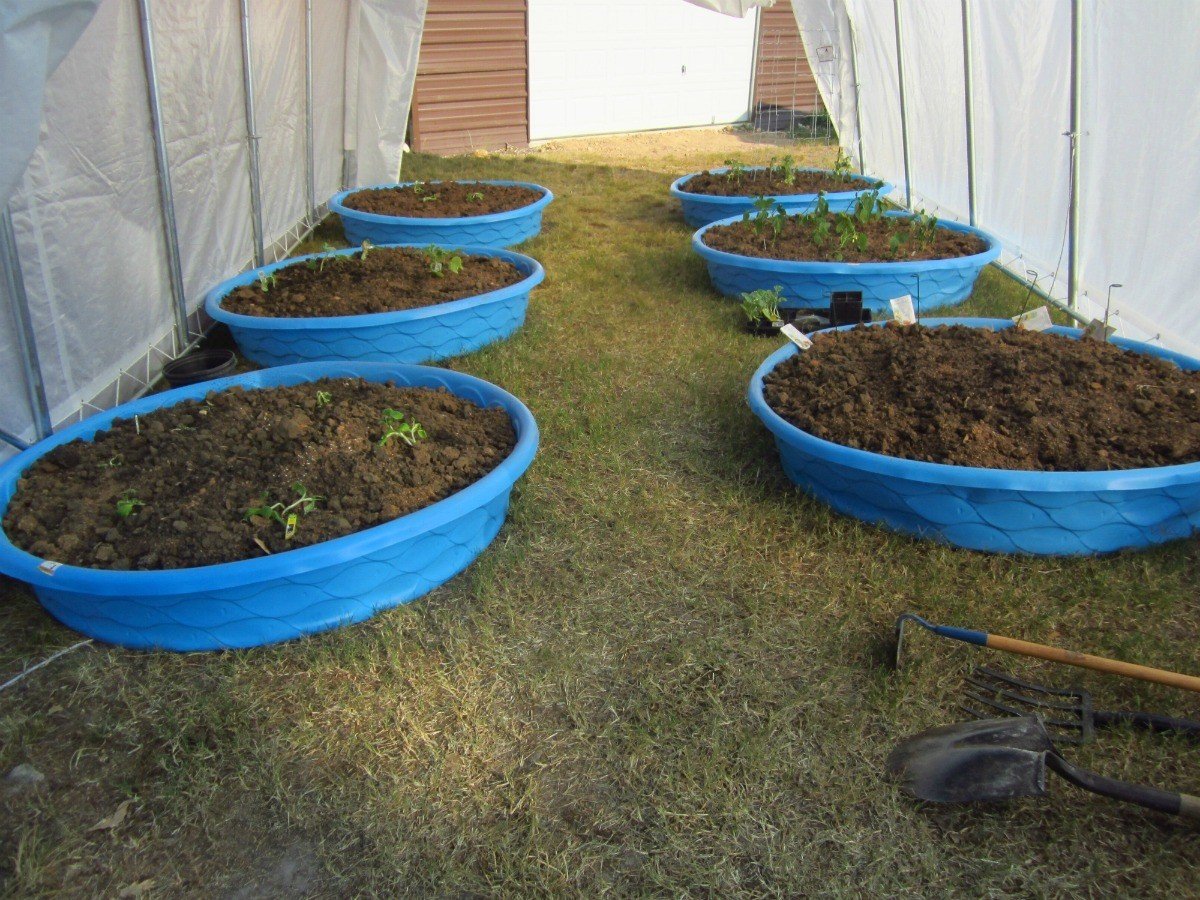 using a child's swimming pool as a garden | thriftyfun